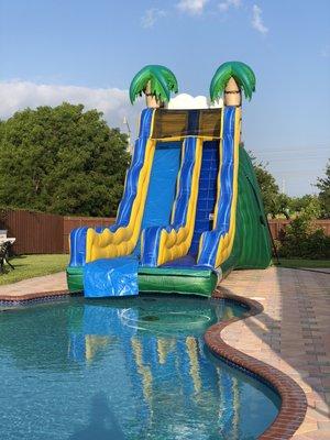 Tropical slide to pool