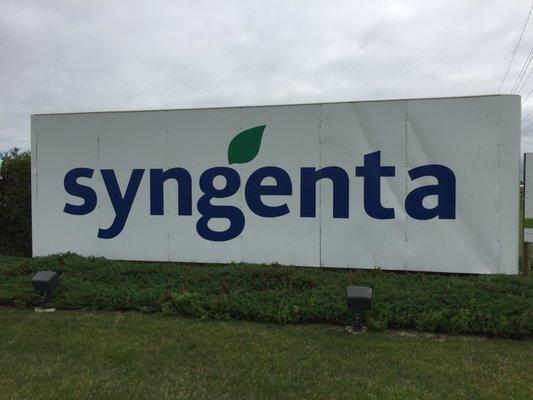 Syngenta Seeds