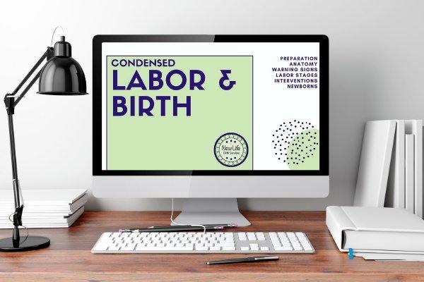 One-on-one virtual Childbirth Education. This course can be customized for you individual needs.