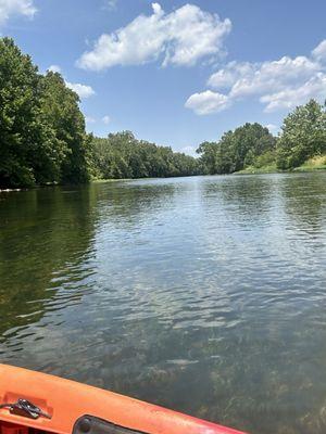 Water was so clear you could see bottom most of the trip.