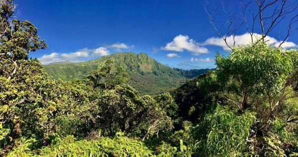 The final view!! Looking toward the Ko'olau!! :-)