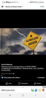 We are your first defense 24 /7 emergency  tree work call us when no one else don't answer