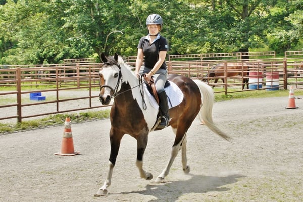 We offer high quality English and Western horseback riding lessons to interested children and adults for years.