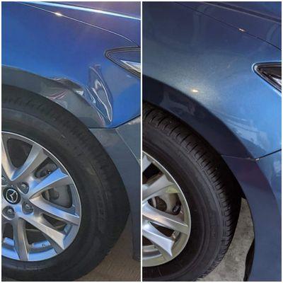 Lt. Dan's Paintless Dent Repair