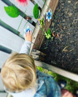 Checking in on our garden