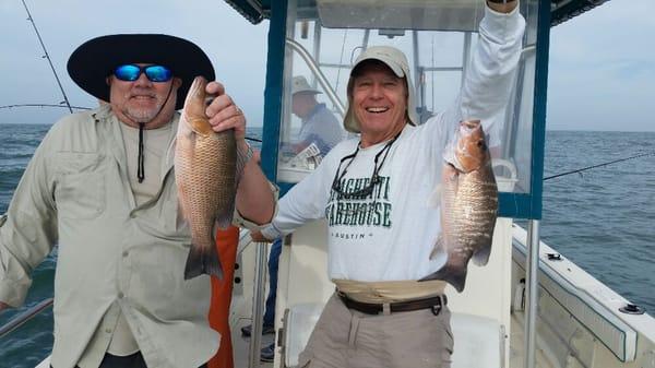 Double mangrove snappers