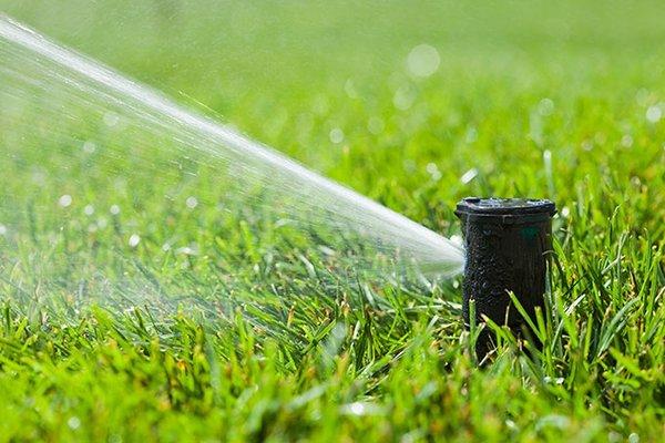 Summer Sprinklers Service