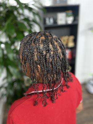 Starter locs (2strand)