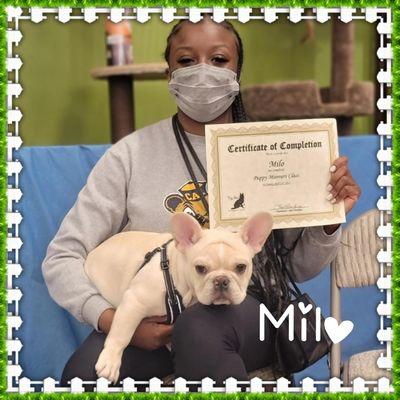 Puppy Manners class grad at Pet Food Express in San Leandro