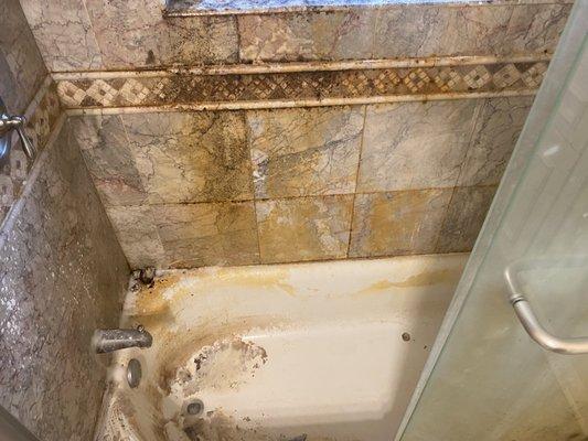 Before of a customers bathtub