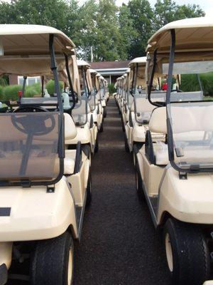 Cart line up