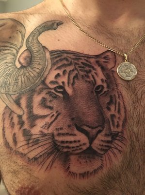 Tiger by Gil