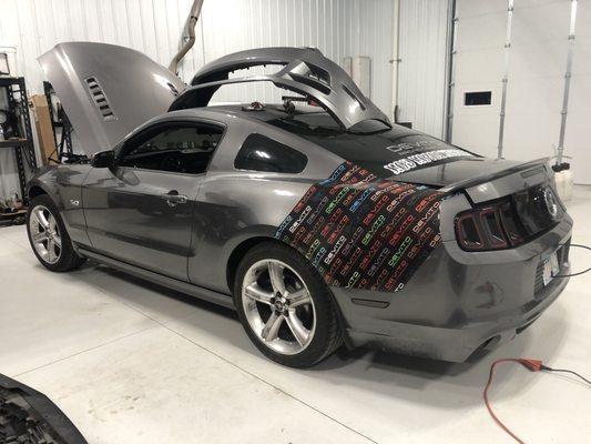 car wrap