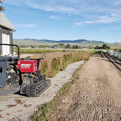 Idaho Sod