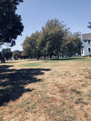 Greenery, open space