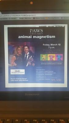 Paws Animal Magnestism 2016 Presenting Sponsor- DMD Restoration & Remodeling, Inc.