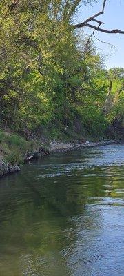 Rope Swing