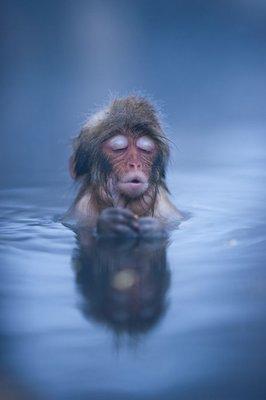 Hot Water is Peaceful