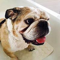 I'm ready for my bath....