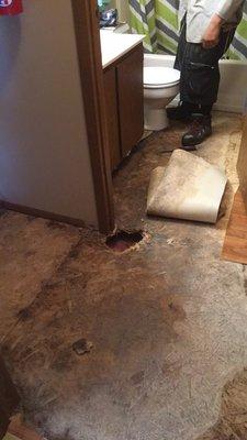 Mold and rotted wood in the hallway into the bathroom.