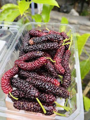 Mulberries - flavor wise reminds me of a blackberry and fig