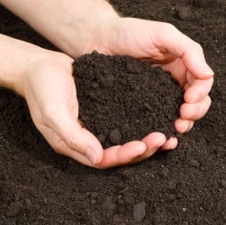 Topsoil, Garden Soil, and Fill Dirt