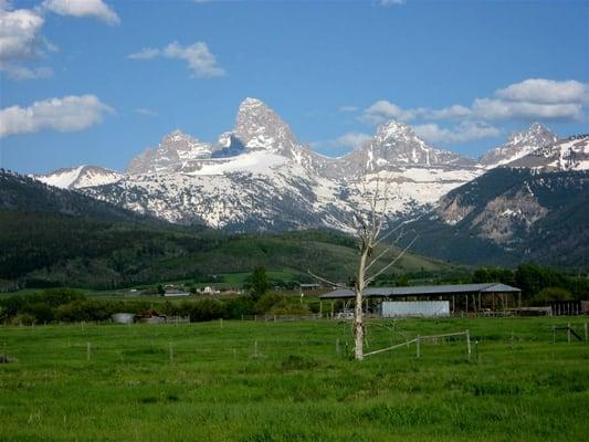 Teton Views