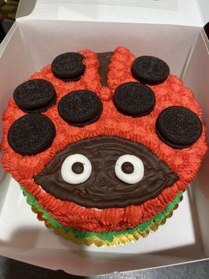 Ladybug cake