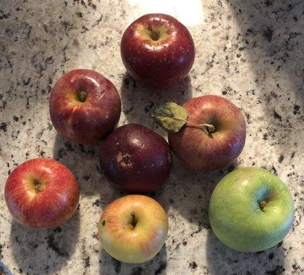 Seven varieties of apples