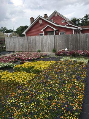 Locust Avenue Farm