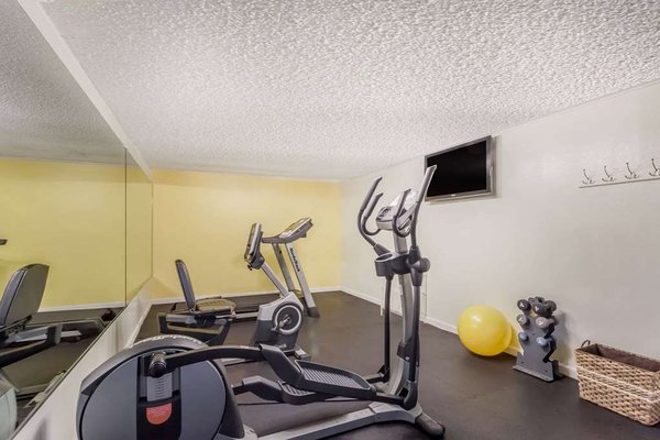 Health club  fitness center  gym