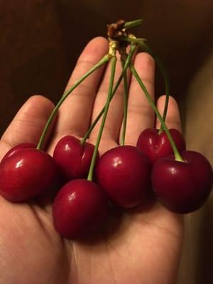 Cherries