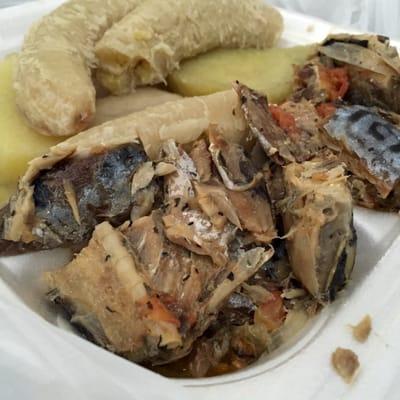 Mackerel Rundown