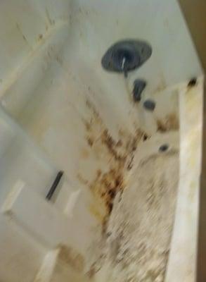 Bathroom before cleaning by 4 Corners Cleaning Service