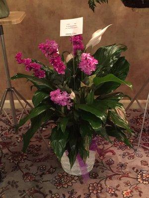 Beautiful floor plant with flowers from friends, by Monroe Florist