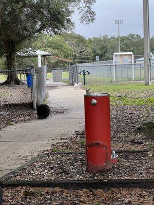 West Park Dog Park