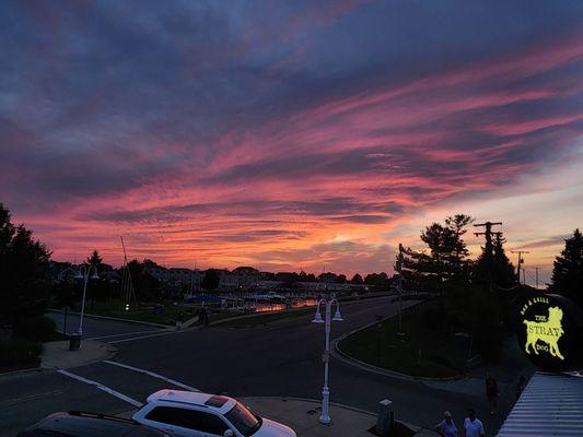 Stray Dog Rooftop Sunset