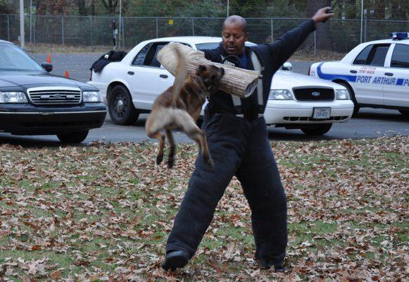 Little Rock K-9 Academy