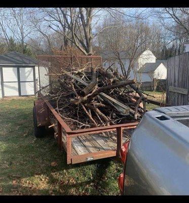 Hauling debris from the back yard