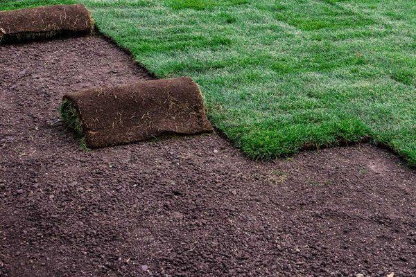 Sod Installation