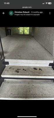 Dog poop on stairs (not anyone's job after reporting not my job)