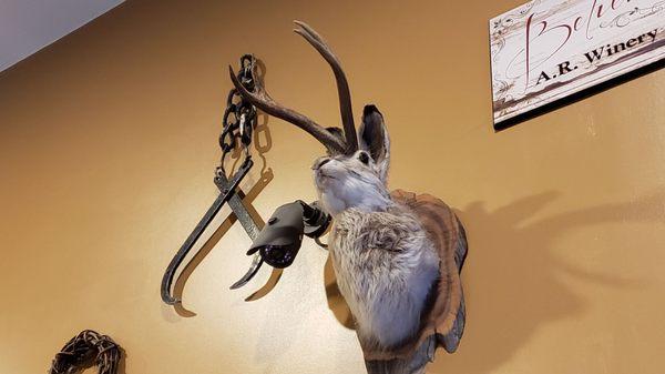 Jackalope!!!