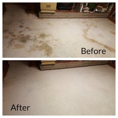 Pet stains with odor.  Love your pet but hate the mess the make on your carpet?  See the difference we can make!