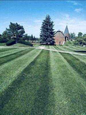 Our lawn maintenance