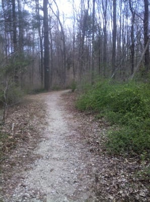 A Turkey Hill trail