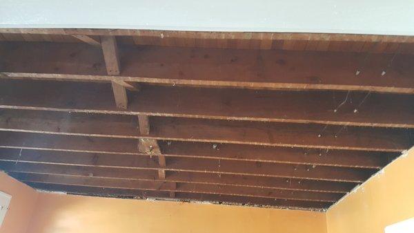 ceiling before