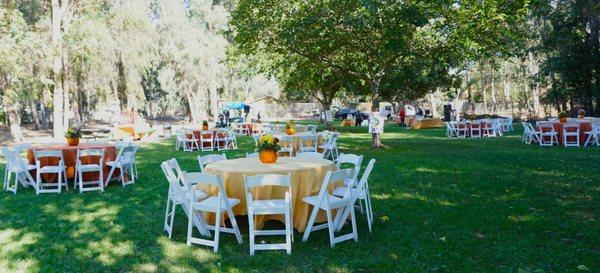 Autumn Picnic in the Park