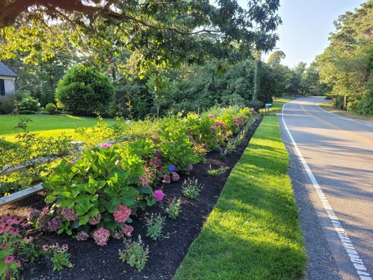 Nice flower bed weeded and mulched makes any yard  beautiful.