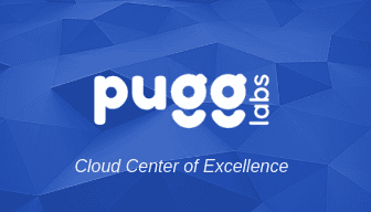 Pugg Labs | Cloud Center for Excellence