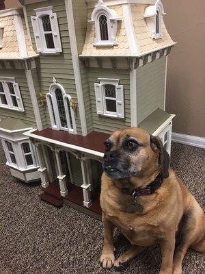 Our office dog/greeter, Lucy with the House